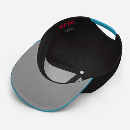 Coming in Quiet BONUS Snapback Hat